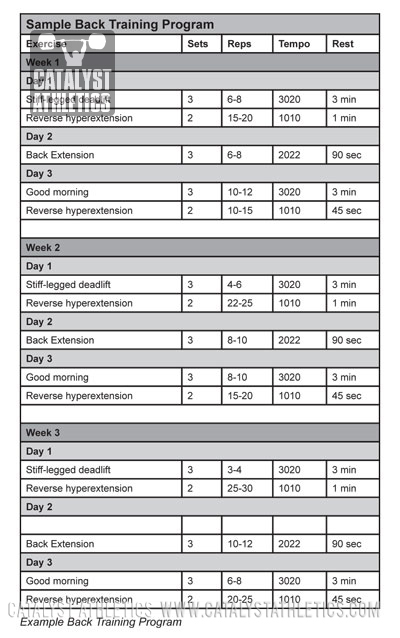 Back Training for Weightlifting by Greg Everett - Olympic 