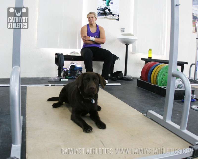 - - Olympic Weightlifting, strength, conditioning, fitness, nutrition - Catalyst Athletics 