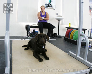 - - Olympic Weightlifting, strength, conditioning, fitness, nutrition - Catalyst Athletics